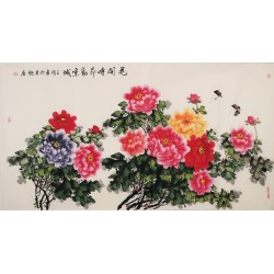 Peony - CNAG003966