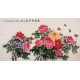 Peony - CNAG003967