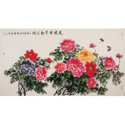 Peony - CNAG003967