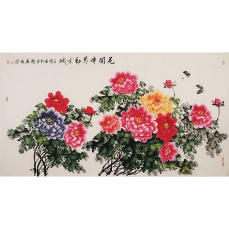 Peony - CNAG003967