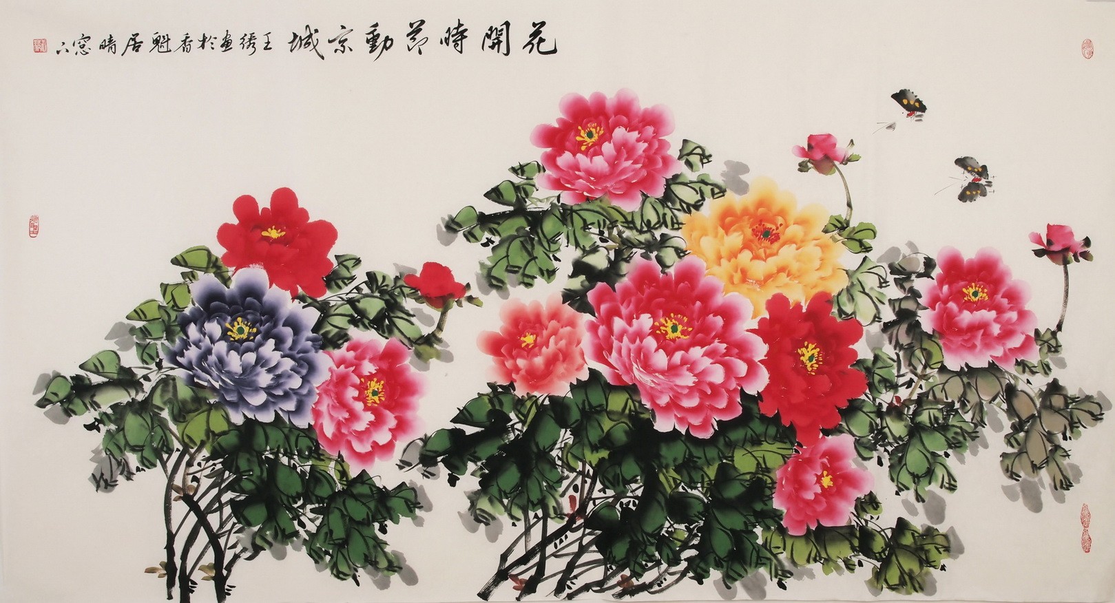 Peony - CNAG003967
