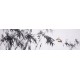 Ink Bamboo - CNAG003969