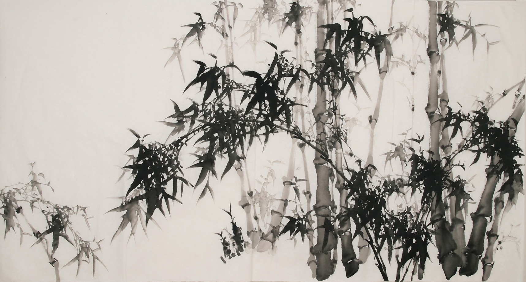 Ink Bamboo - CNAG003974