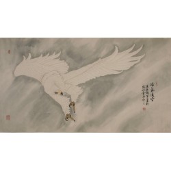 Eagle - CNAG003995