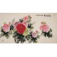 Peony - CNAG004007