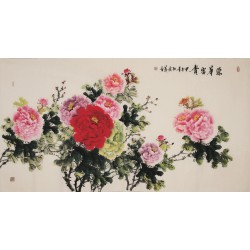 Peony - CNAG004007
