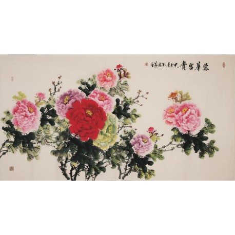 Peony - CNAG004007