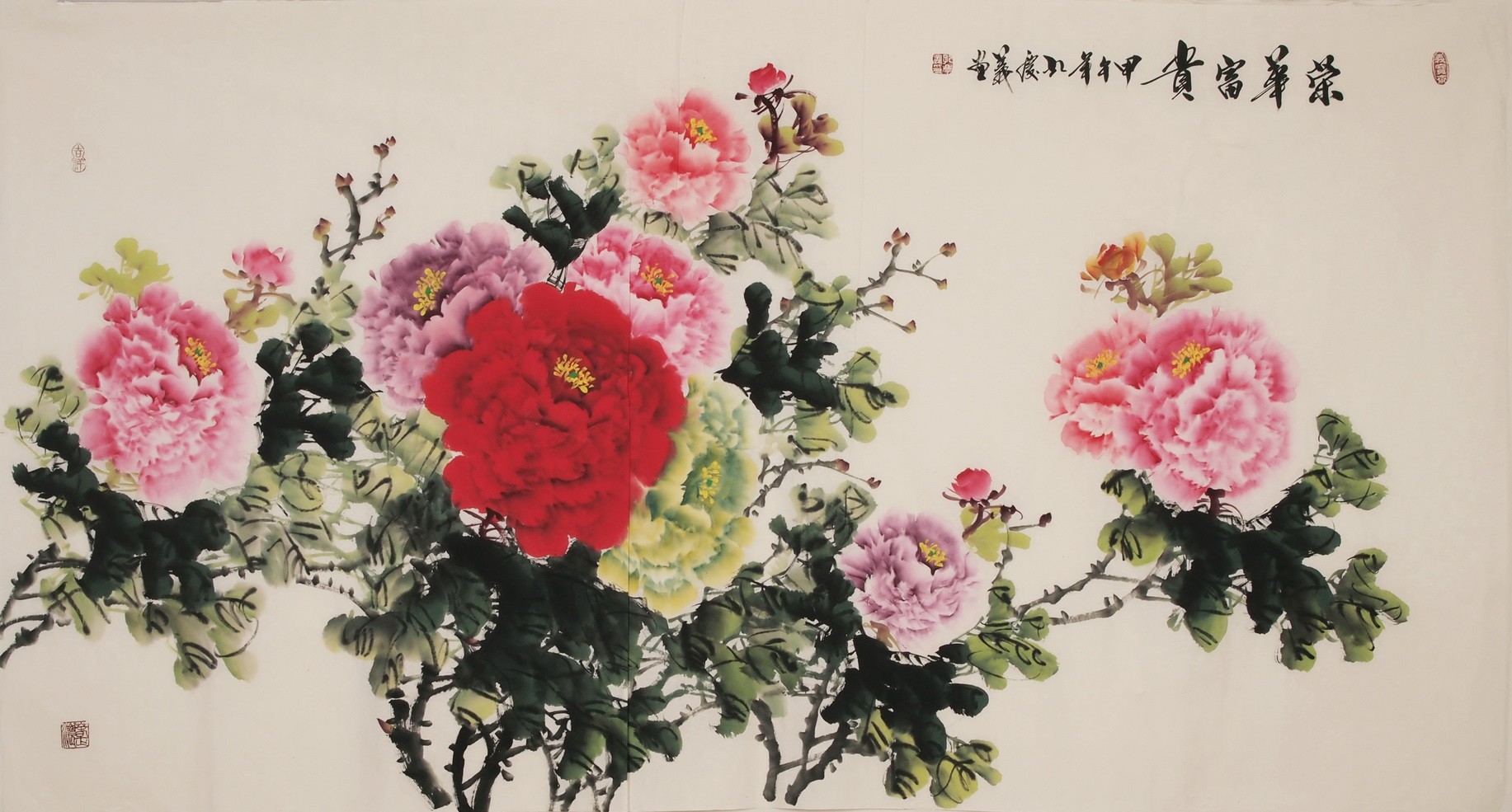 Peony - CNAG004007