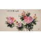 Peony - CNAG004008