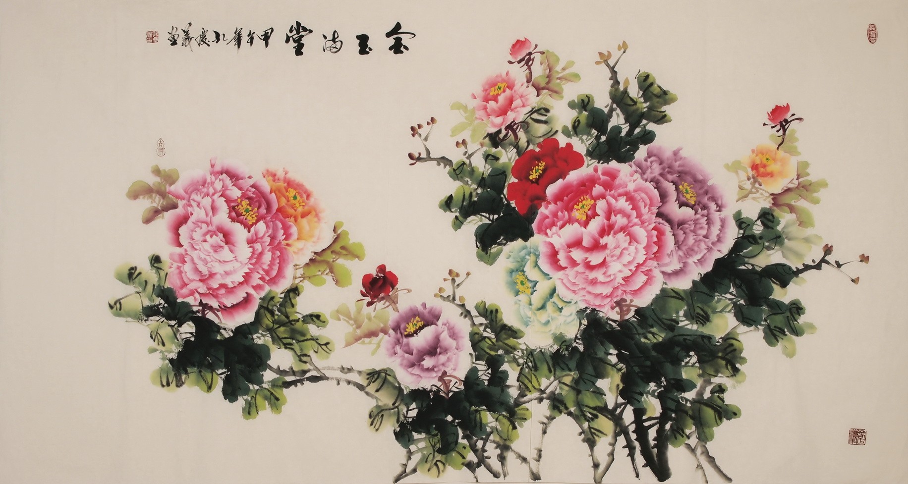Peony - CNAG004008