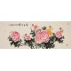 Peony - CNAG004009