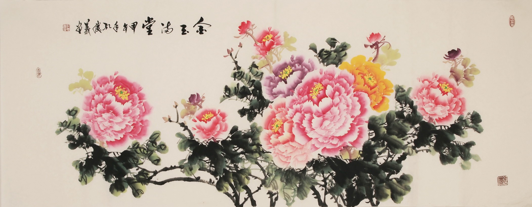Peony - CNAG004009