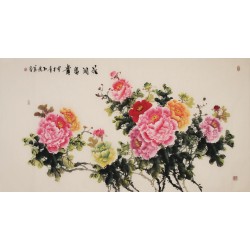 Peony - CNAG004012