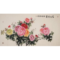 Peony - CNAG004013