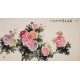 Peony - CNAG004014