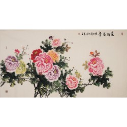 Peony - CNAG004014