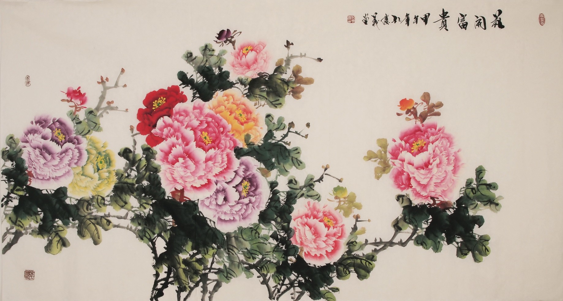Peony - CNAG004014