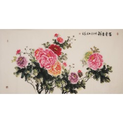 Peony - CNAG004015