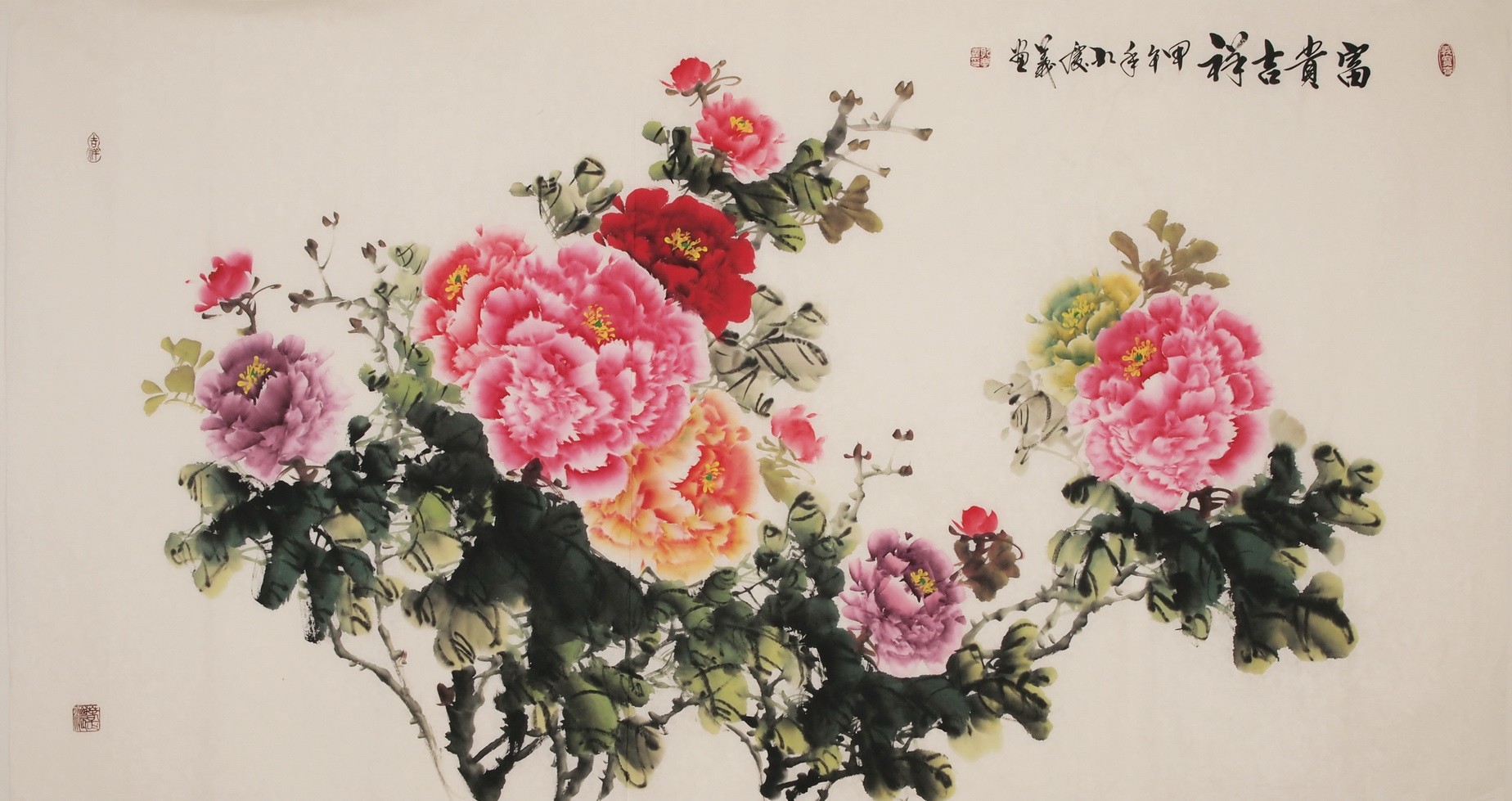 Peony - CNAG004015