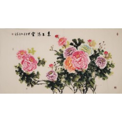 Peony - CNAG004017