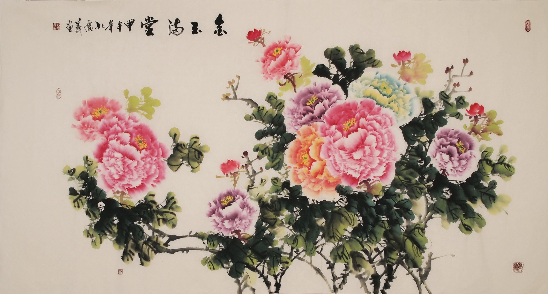 Peony - CNAG004017