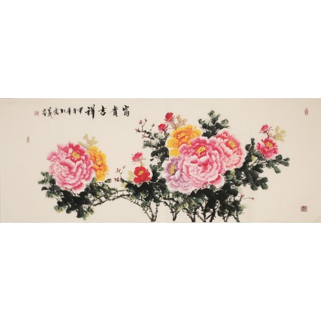 Peony - CNAG004018