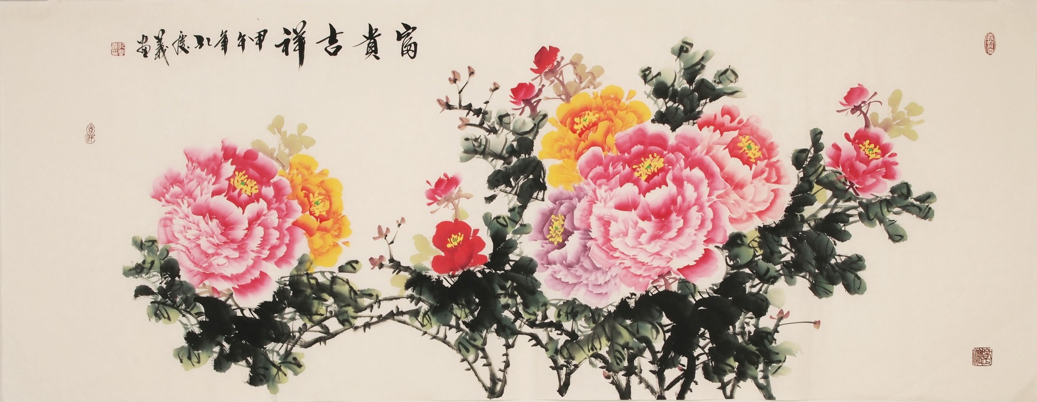 Peony - CNAG004018