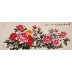 Peony - CNAG004019