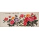 Peony - CNAG004020