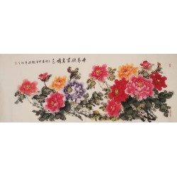 Peony - CNAG004020