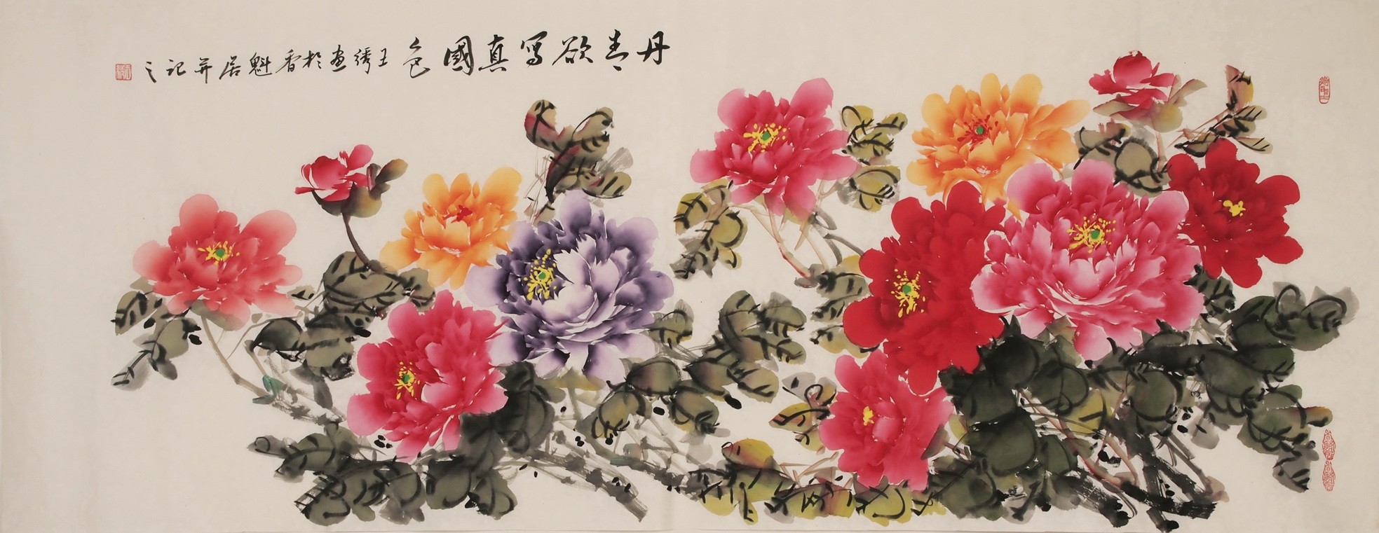 Peony - CNAG004020