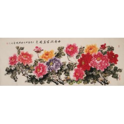Peony - CNAG004022