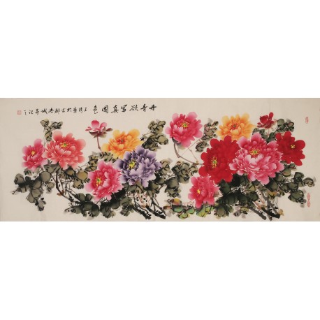 Peony - CNAG004022