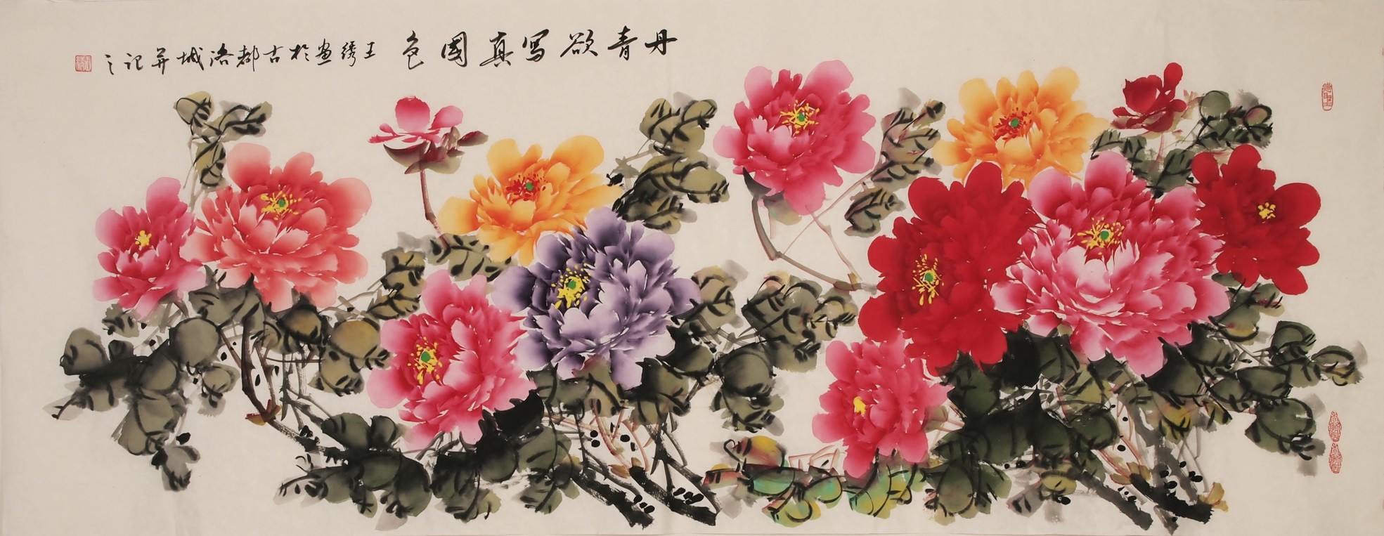 Peony - CNAG004022