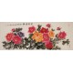Peony - CNAG004025