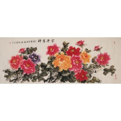 Peony - CNAG004025