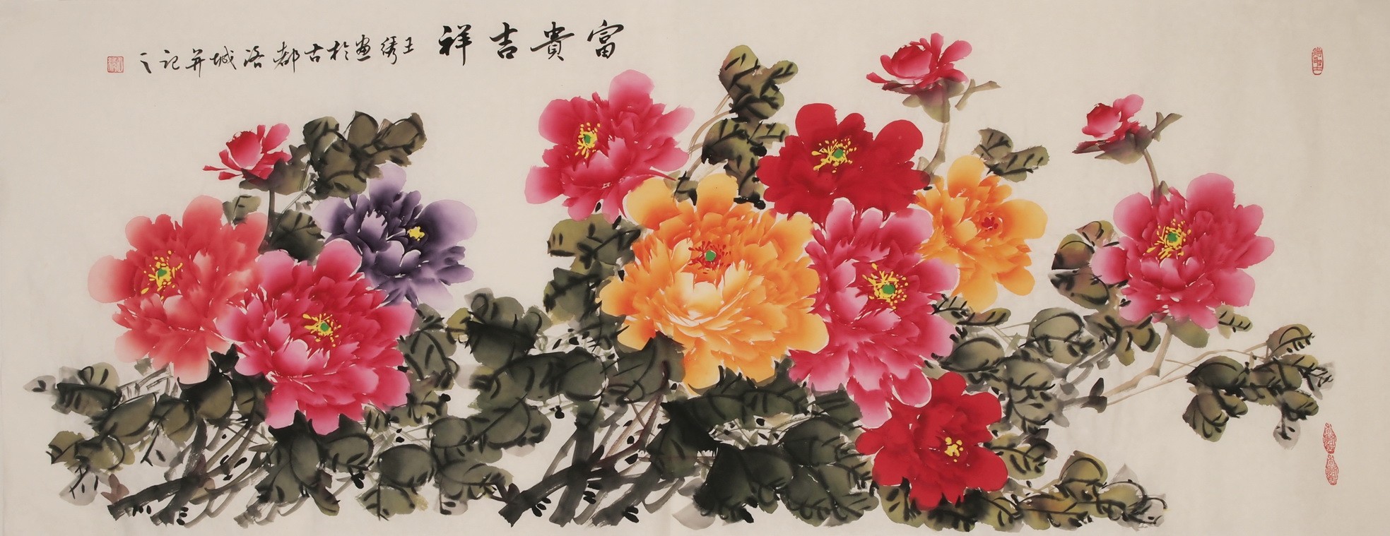 Peony - CNAG004025