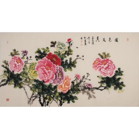 Peony - CNAG004026