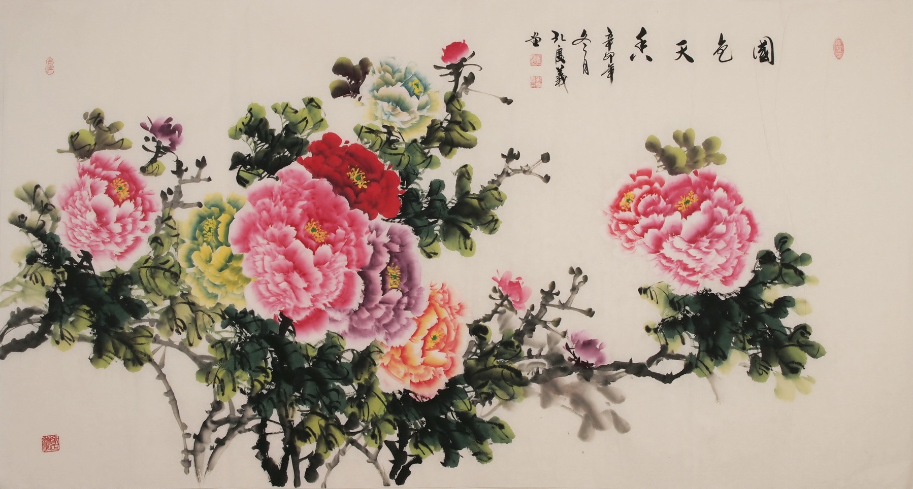Peony - CNAG004026