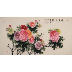 Peony - CNAG004027