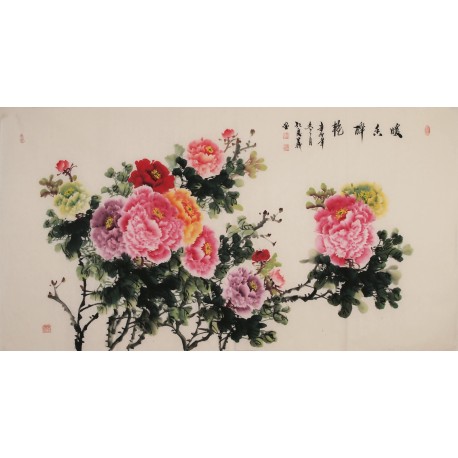 Peony - CNAG004027
