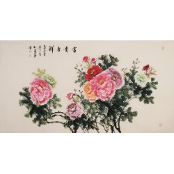 Peony - CNAG004029