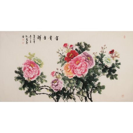 Peony - CNAG004029