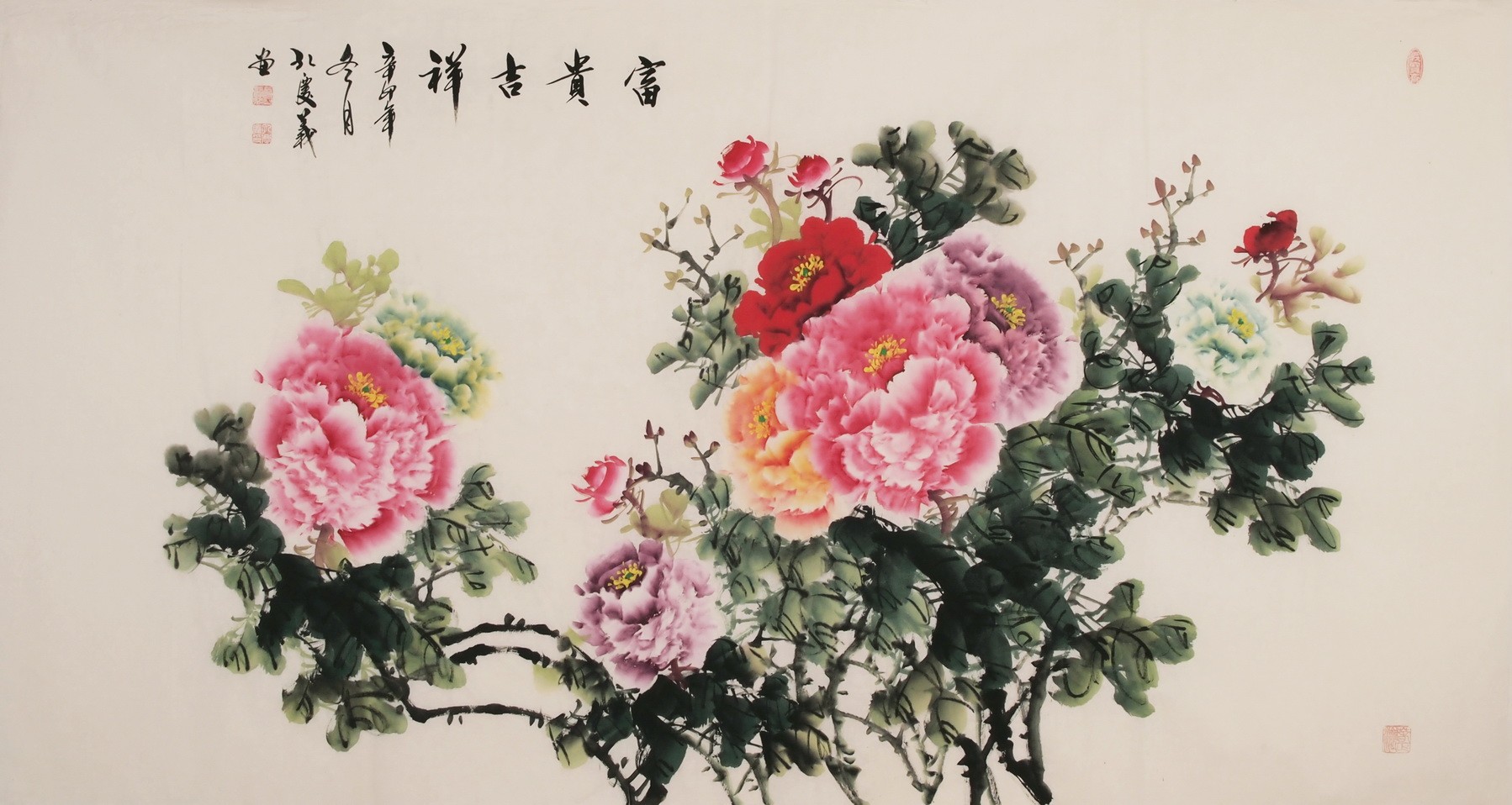 Peony - CNAG004029