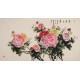 Peony - CNAG004030