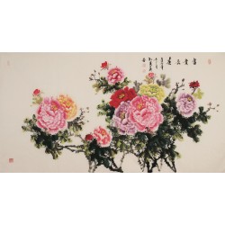 Peony - CNAG004030