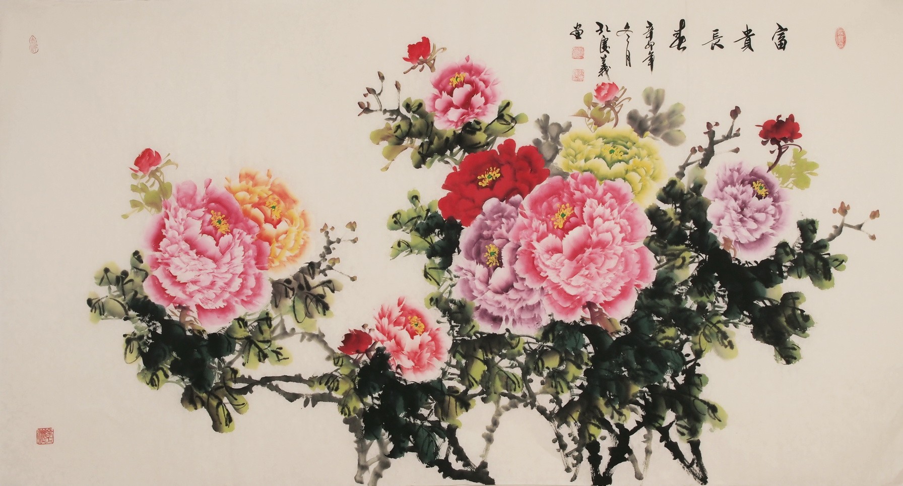 Peony - CNAG004030