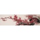 Plum - CNAG004031