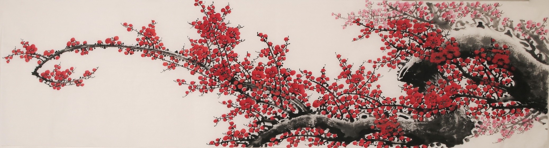 Plum - CNAG004031