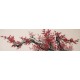 Plum - CNAG004032